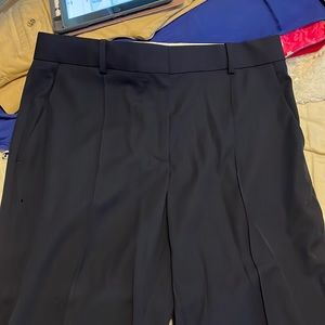 Everlane blue dress pants